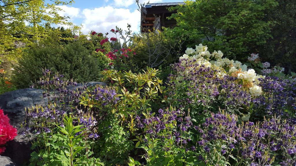 Marie Therese Apartment B&B Lake Tekapo Luaran gambar