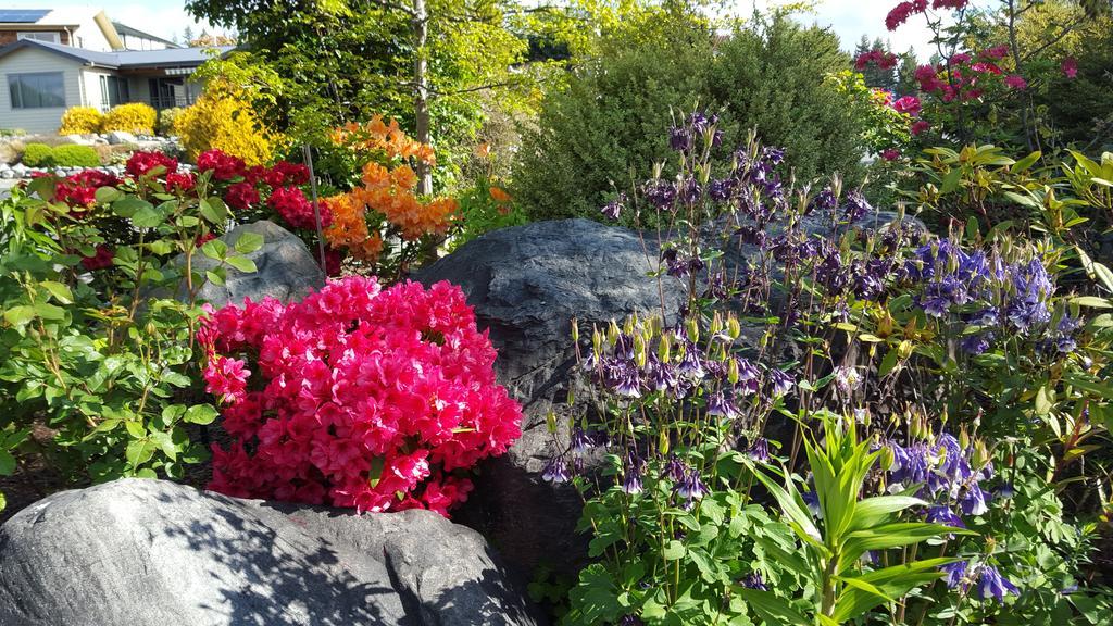 Marie Therese Apartment B&B Lake Tekapo Luaran gambar