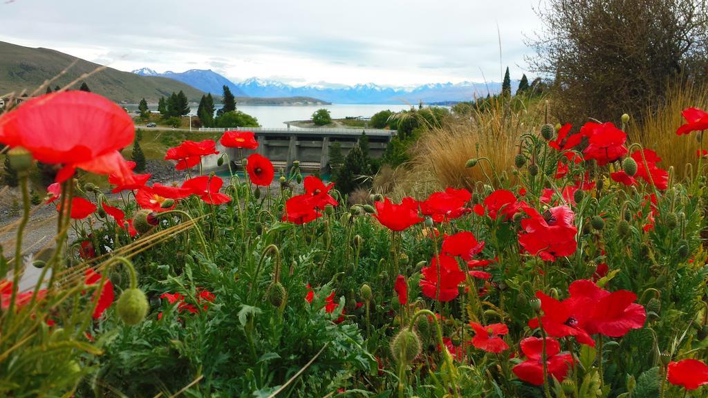 Marie Therese Apartment B&B Lake Tekapo Luaran gambar